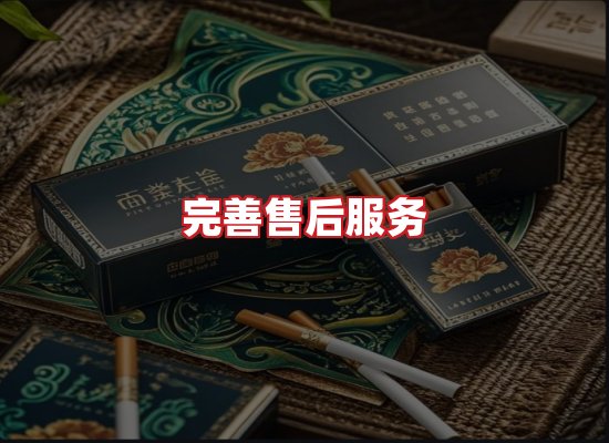 专业团队